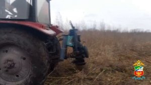 В Новокузнецком округе транспортные полицейские уничтожили плантацию дикорастущей конопли