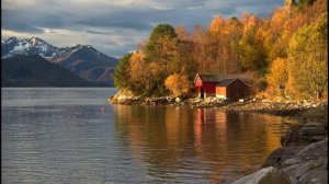 138 псалом на польском языке