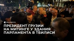 Президент Грузии на митинге у здания парламента в Тбилиси