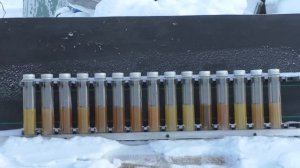 Заморозка масел вязкостью SAE 5W-30  январь 2024
