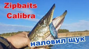 Попал на щучий ЖОР. Zipbaits Calibra в лидерах! #сезонконтентаRUTUBE