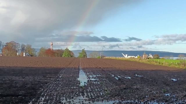 Ep 11 - Is This the End, My Friend? смотреть онлайн