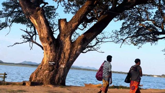 Best High T spot in Down South | VIP pass scam in Katharagama смотреть онлайн