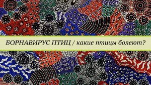 Какие птицы болеют борнавирусом?  Болеют ли  волнистые попугаи,  канарейки, водоплавающие?