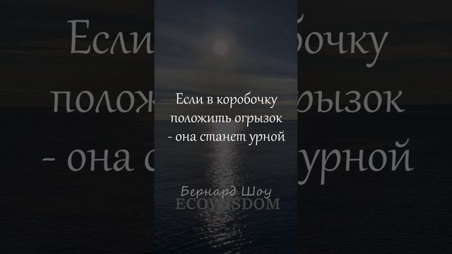 Мудрые слова - Бернард Шоу #мудрость #цитаты #бернардшоу #ecowisdom