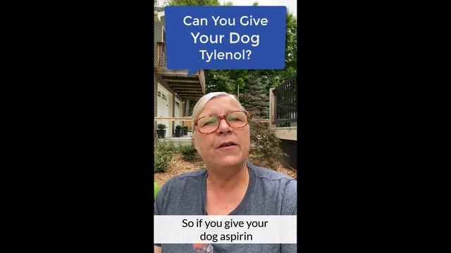Can you give your dog Tylenol? смотреть онлайн