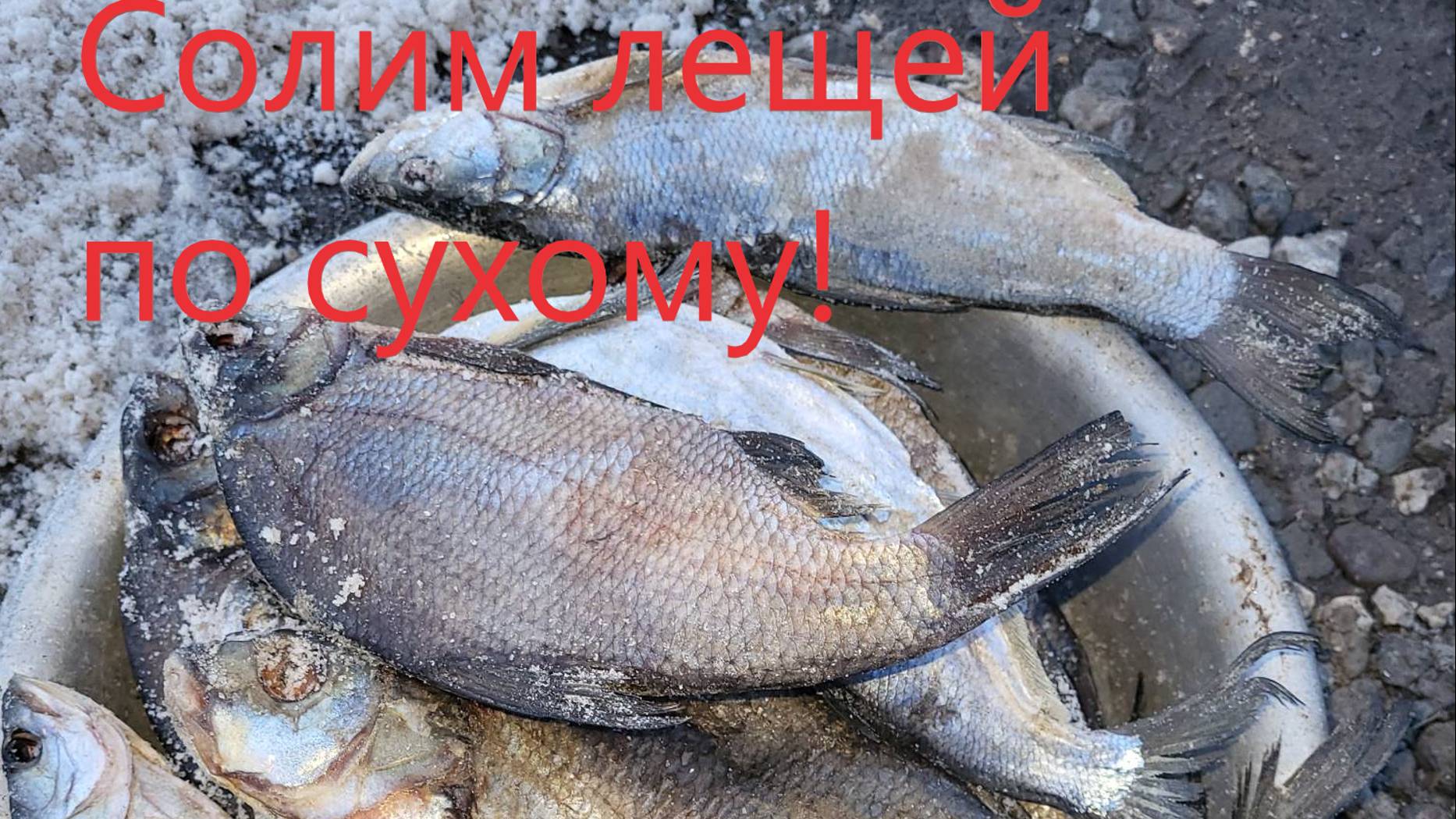 Солим леща по сухому.