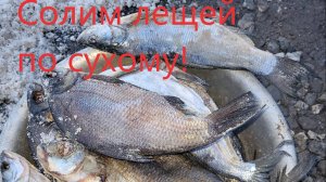 Солим леща по сухому.