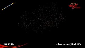 359 - Биатлон