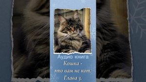 Аудиокнига «Кошка - это вам не кот». Наталья Каледина. Читает автор. Глава 3