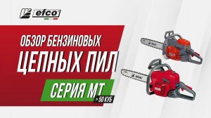 Бензопилы Efco серия MT (объём двигателя более 50 см³) – обзор, характеристики, применение