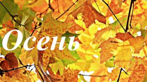 Осень (Autumn) 4K  - Расслабляющее видео со спокойной музыкой. Пианино