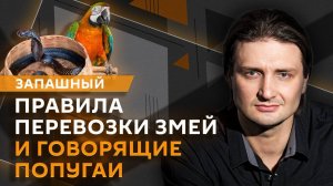 Эдгард Запашный. Говорящие попугаи, правила перевозки змей, нападения хищников на дрессировщиков