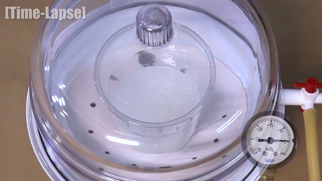 Dragon Skin 20 смотреть онлайн