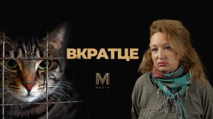 ВКРАТЦЕ: "КОШКИН ДОМ" БЕЗ КРЫШИ