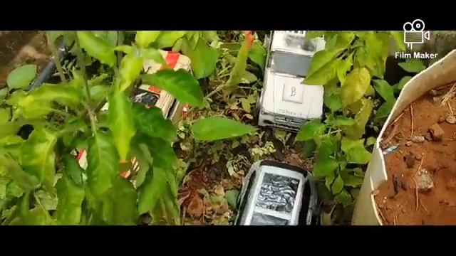 Mafia leader dealing in Business women in forest protocol collection video in 2021 смотреть онлайн