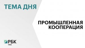 Два кластера Башкортостана - нефтехимический и средств реабилитации - вошли в реестр Минпромторга РФ