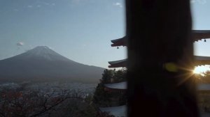 COLORKER коллекция KENZO