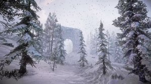 Сильный ветер-метель в мире, где царит зима и покой