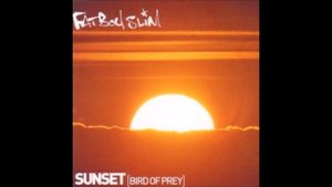 Fatboy Slim - Bird Of Prey (Aerotronic Remix)
