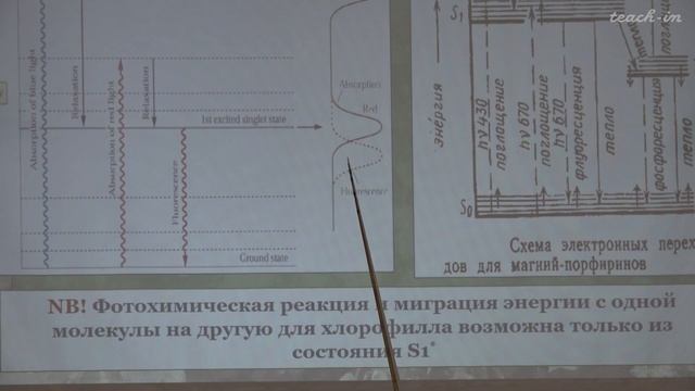 Константинова С.В. - Физиология и биохимия растений  - 6. Фотосинтез