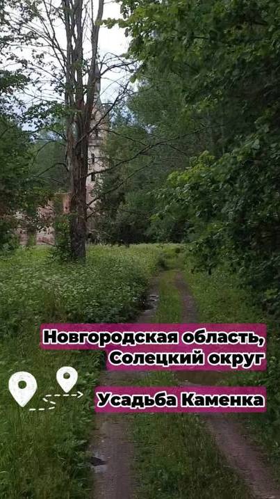 Усадьба Каменка. Почему круто жить в Новгородской области