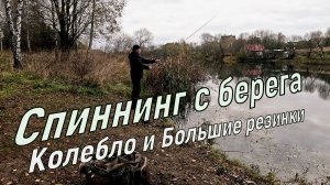 Рыбалка на колебалки и Крупный силикон. Спиннинг с берега