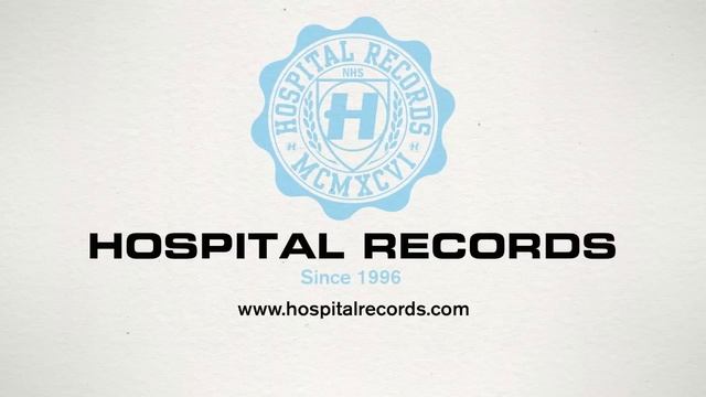 High Contrast - Pink Flamingos