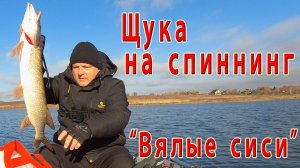 Щука в конце октября.  Щука на вялые сиси. Рыбалка на спиннинг.......