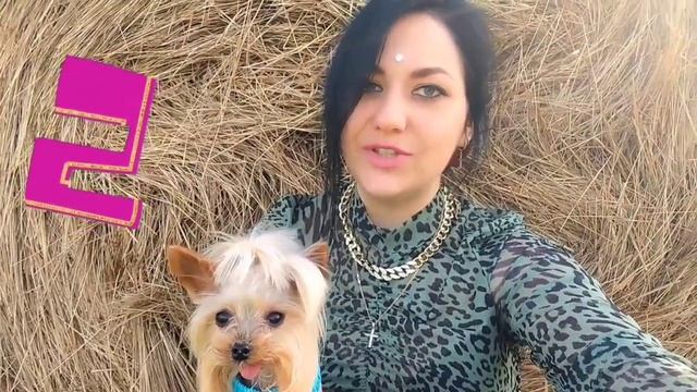 Совместник по вязанию крючком — комбинезон (ромпер) САФАРИ для собак смотреть онлайн