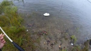 Осенняя рыбалка на Томи!!! Fishing VLOG_2