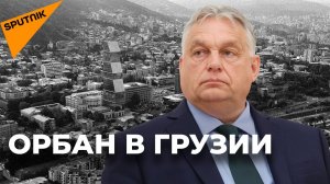 «Любим Европу, но не всю»: Как Орбан стал «нелюбимым политиком» у грузинской оппозиции