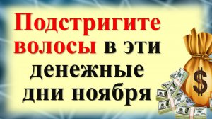 Подстригите волосы в денежные дни ноября. Стрижка по лунному календарю. Что говорить и делать