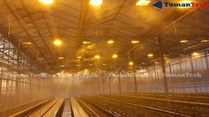 Увлажнение туманом высокого давления в теплице укоренения розы