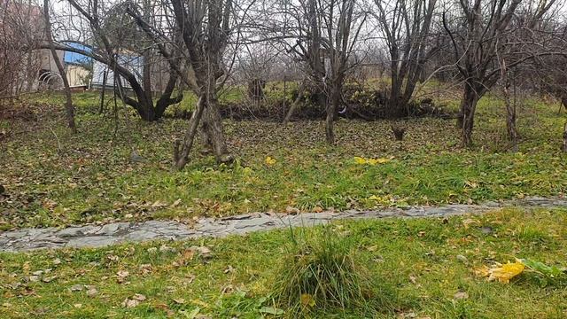 Здесь всё, как много лет назад... смотреть онлайн