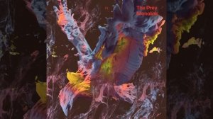Monolink - The Prey (Original Mix)