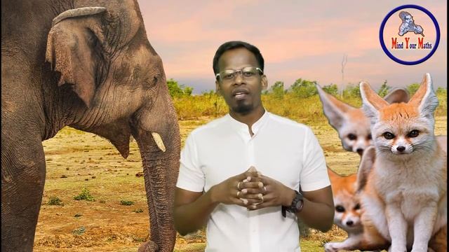 Story Time - Jealous Elephant | Take a break and relax before doing mathematics