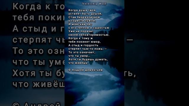 Дементьев - Когда душа твоя... #стихи #поэзия #shorts