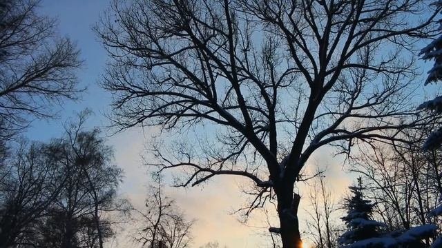 Winter Sun