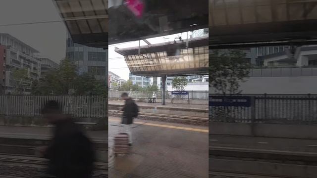 VID-20241024-WA0022