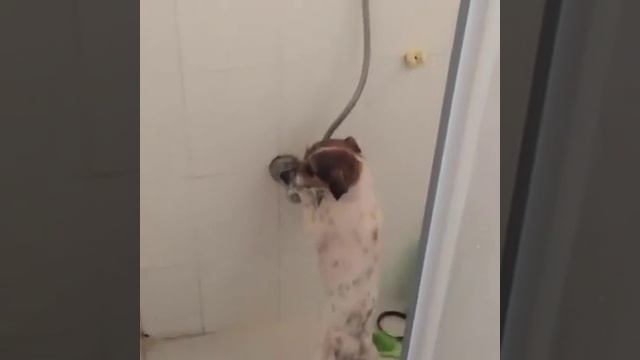 Кто в душе