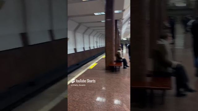 Метро Маршала Покрышкина Метрополитен Новосибирск Сибирь Недвижимость Новостройки Жилье Переезд ПМЖ