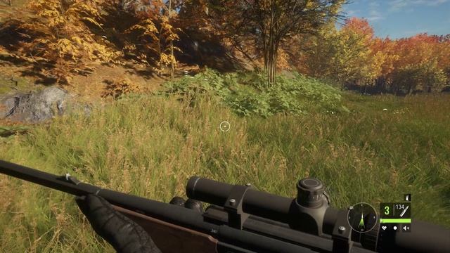 theHunter  Call of the Wild|Саванна|Ах меня снайпнули в полёте