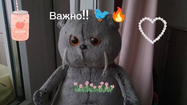 важная информация 🐦⬛🪺🫙