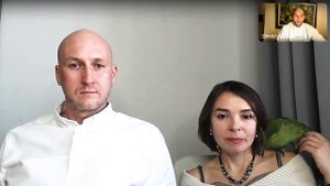 ПОЧЕМУ ПРОИСХОДЯТ ОТКАТЫ?