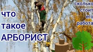 Вызываю арбориста. Пока не упало