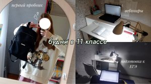 БУДНИ в 11 классе перед ПРОБНИКОМ | учебный влог