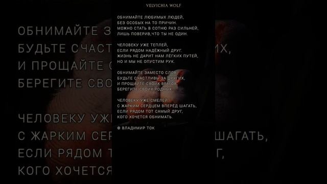 Обнимайте любимых людей #стихи #поэзия #shorts