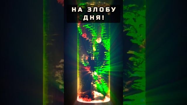 Сатира "на злобу дня" #цитаты #назлобудня #shorts