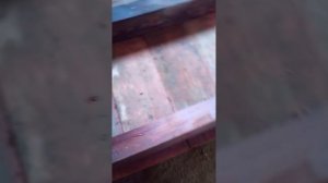 концентрат огнебиозащиты экономит деньги